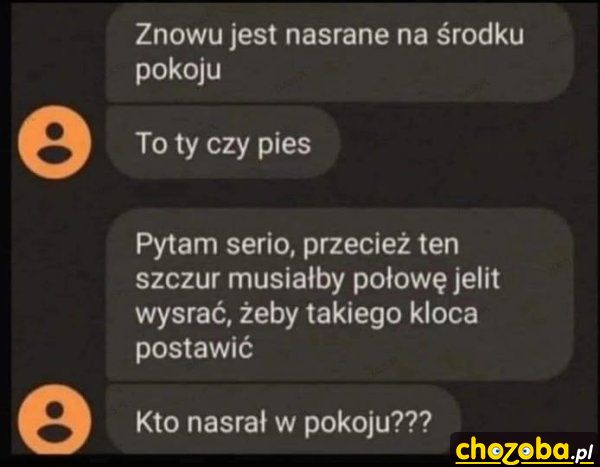 Kupa w pokoju