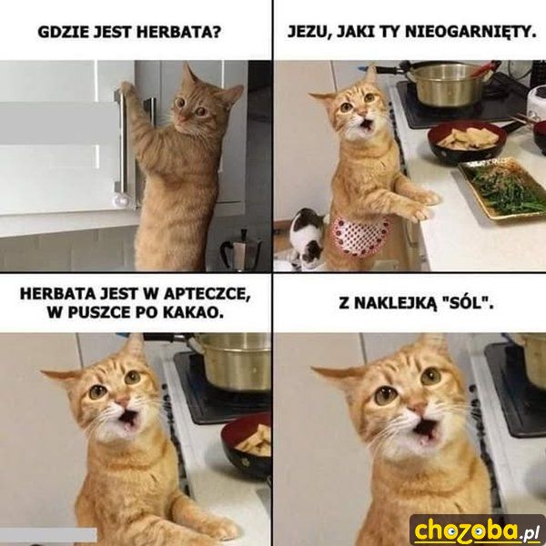 Nieogarnięty chłop