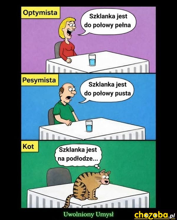 Optymista pesymista i kot