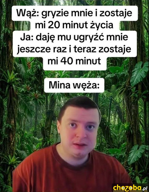 Mina węża