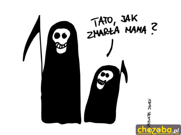 Pytanie