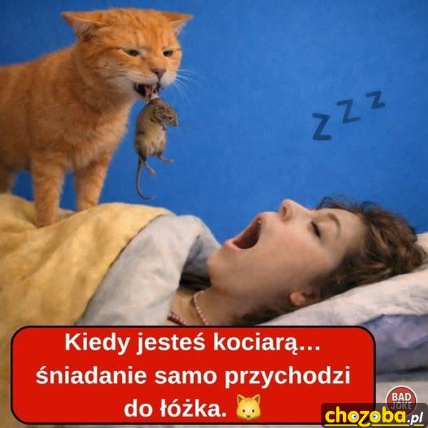 Śniadanie do łóżka