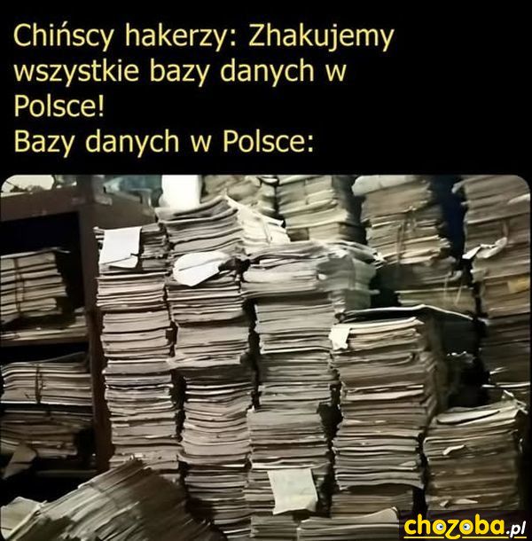 Polskie bazy danych