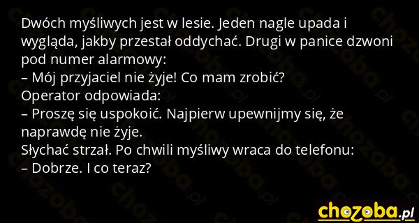Myśliwi na polowaniu