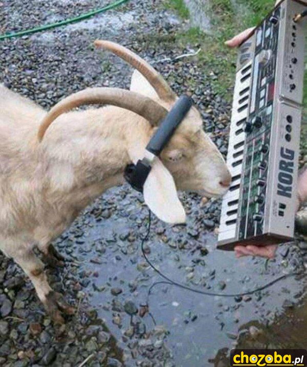 DJ koza