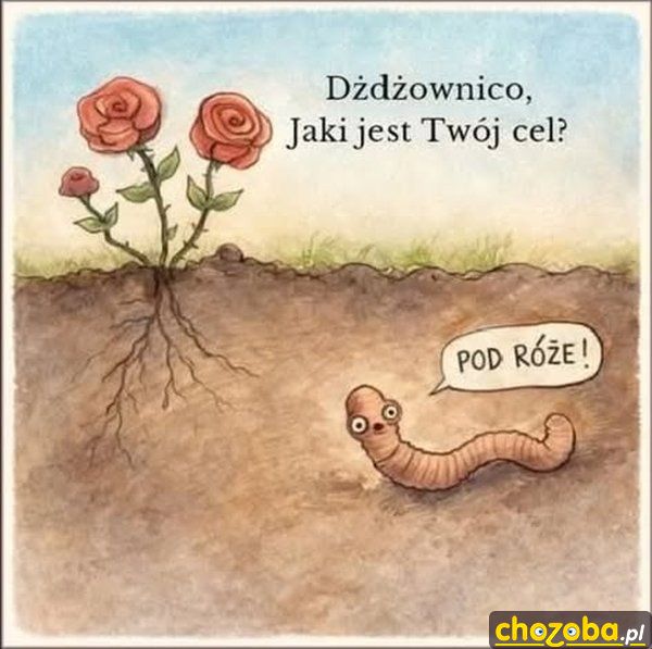 Cel dżdżownicy