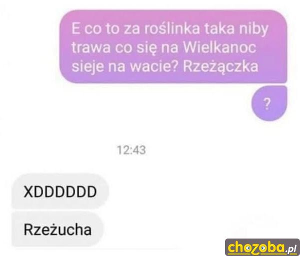 Wielkanocna roślina