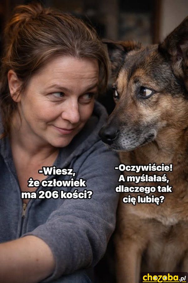Człowiek i kości