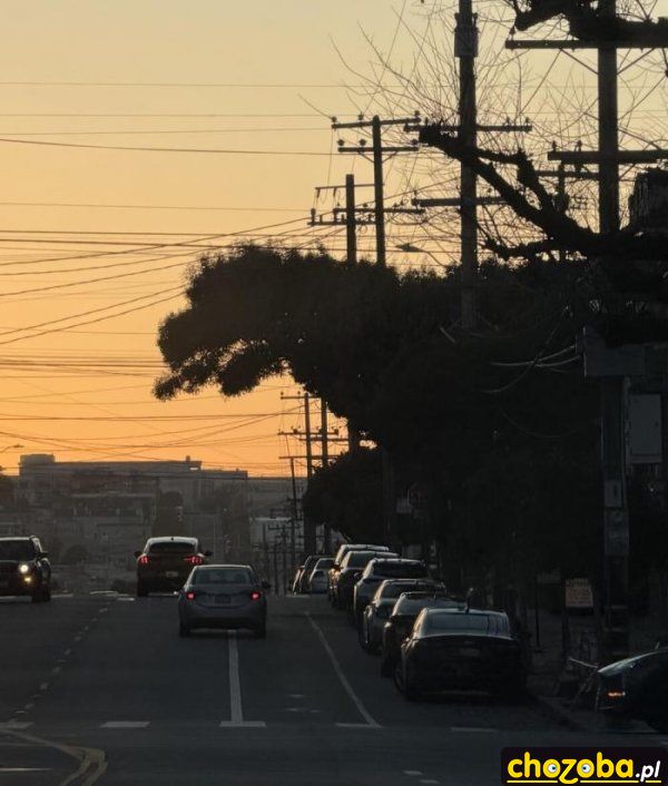 Godzilla