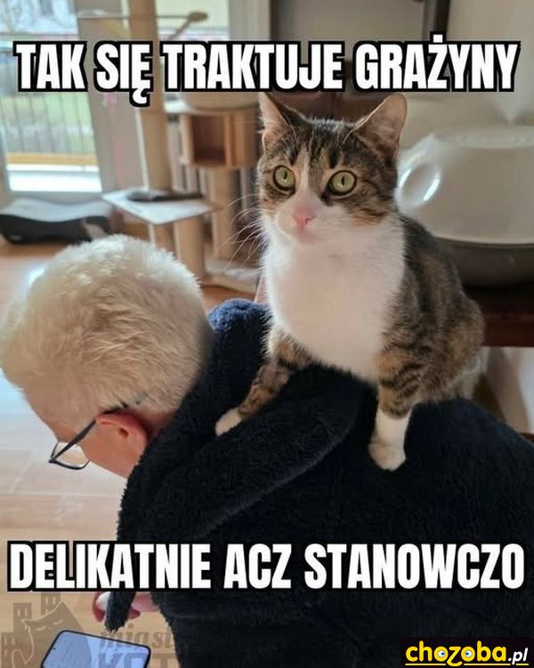 Traktowanie Grażyny