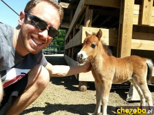 Mini konik