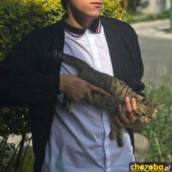 Uzrbojony w kota