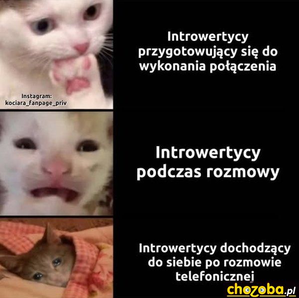 Introwertyk
