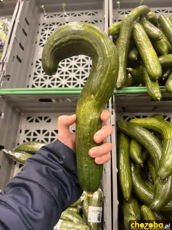 Ogórek zapytania