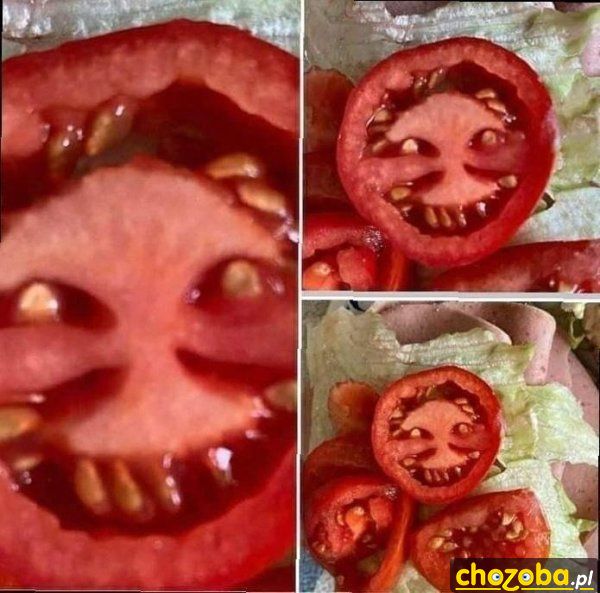 Pomidor