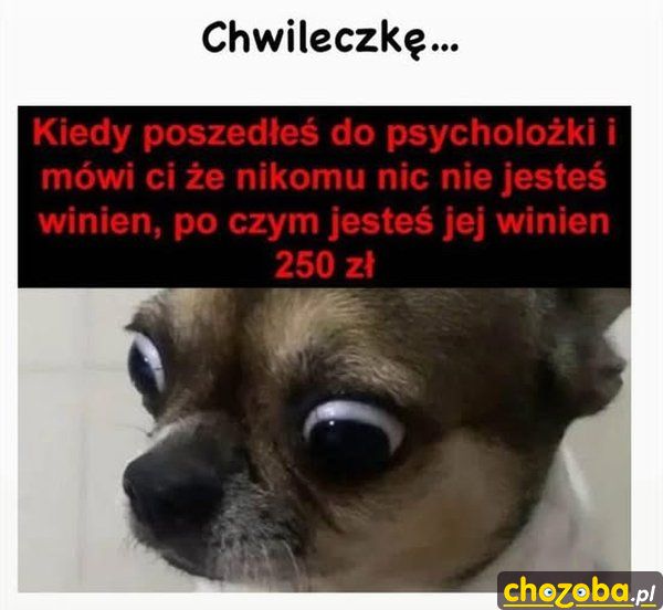 Coś tu nie gra