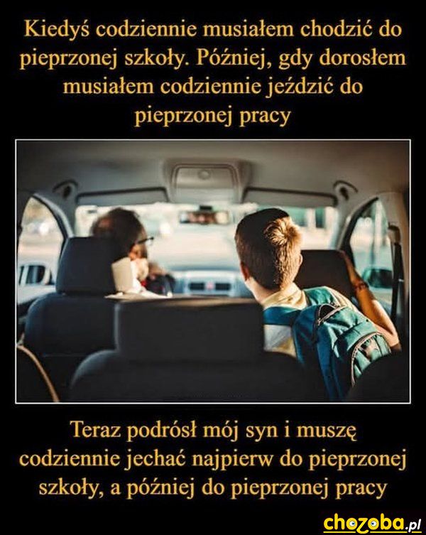Szkoła i praca