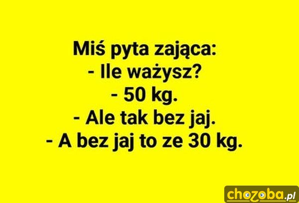 Ile waży zając