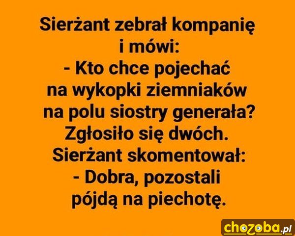 Wykopki w wojsku