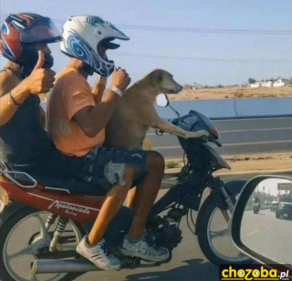 Dojazd do pracy