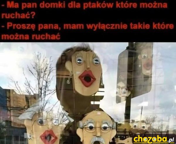 Domki dla ptaków