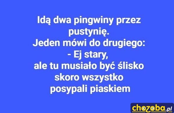 Pingwiny na pustyni