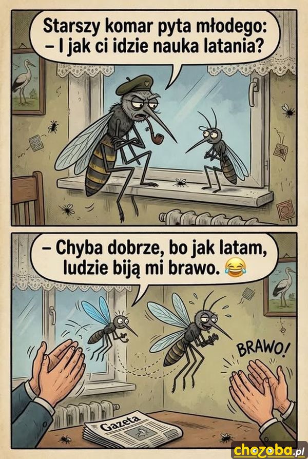 Nauka latania