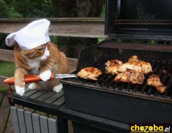 Grilowanko
