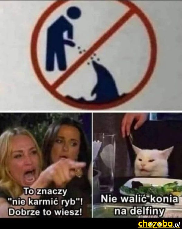 Zakaz