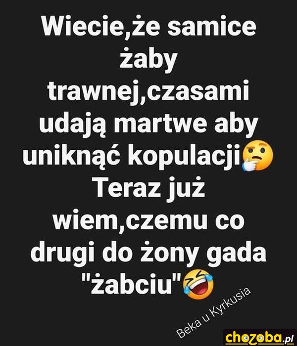 Żona żabcia