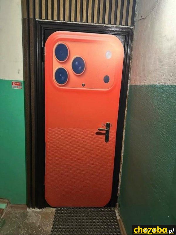 Drzwi telefoniczne