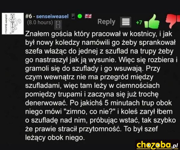 Praca w kostnicy