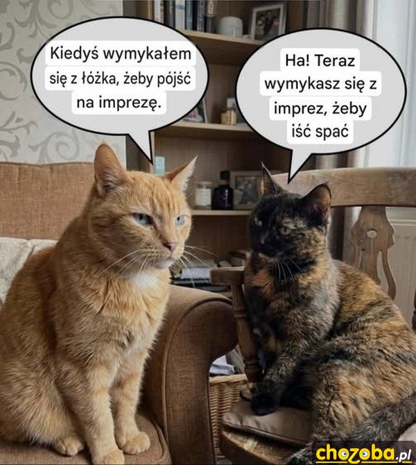 Starość