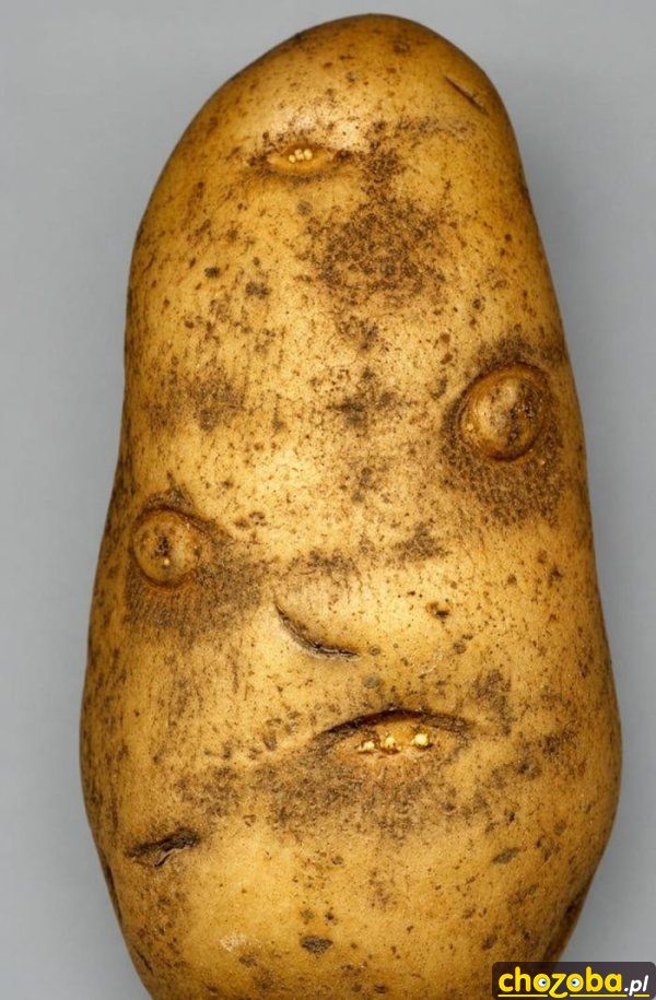 Ziemniaczek