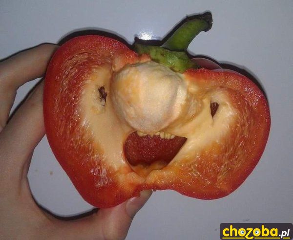 Papryka