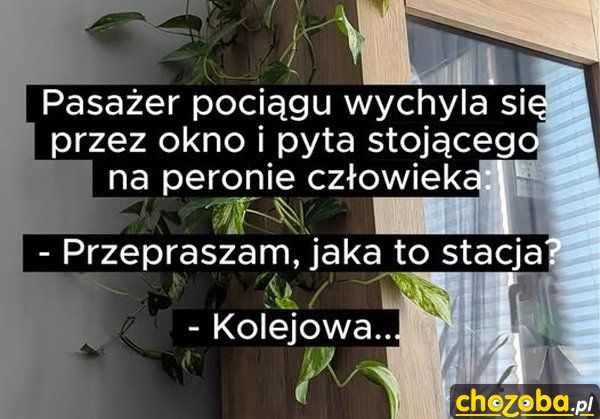 Jaka to stacja?
