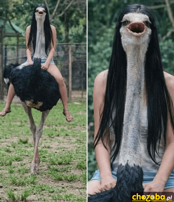 Dobre ujęcie
