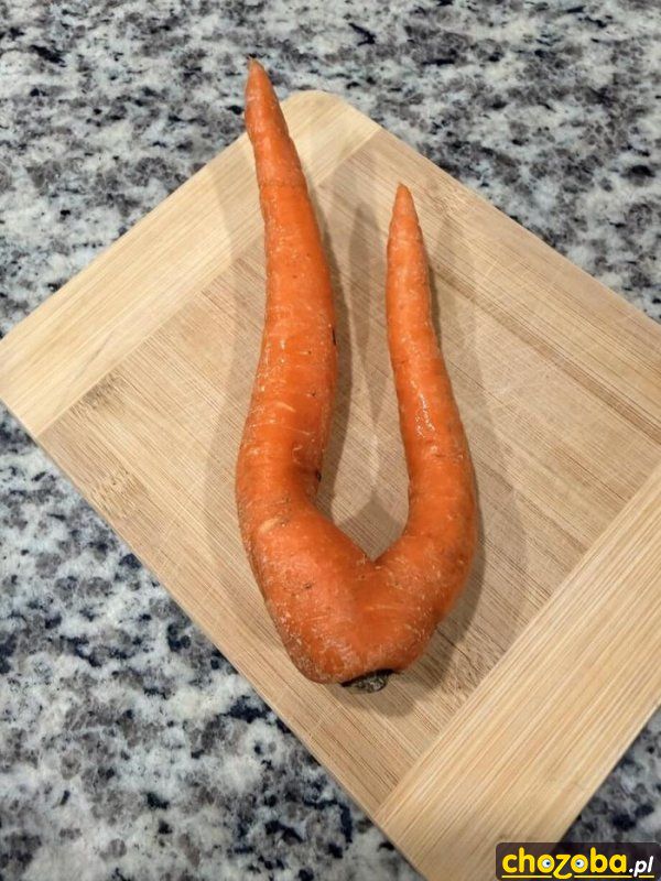 Marchewka