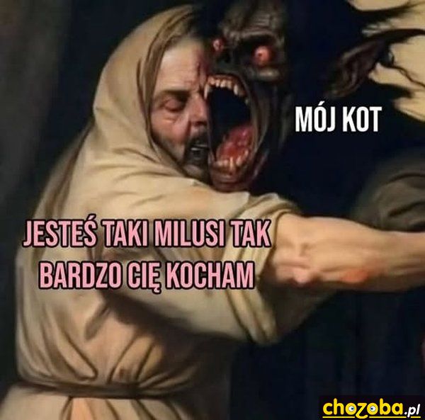 Koteczek