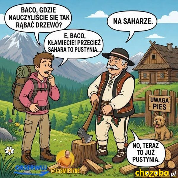Rąbanie na Saharze