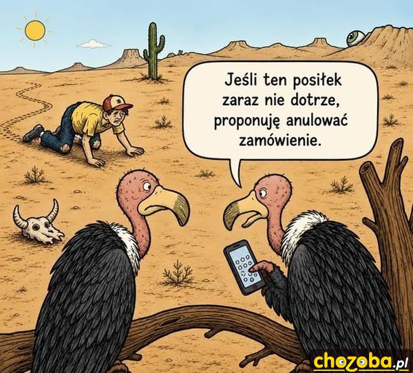 Zamówione jedzenie