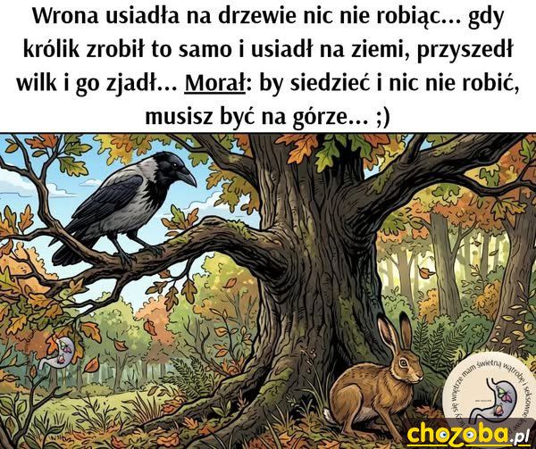 1782558812384003.jpg