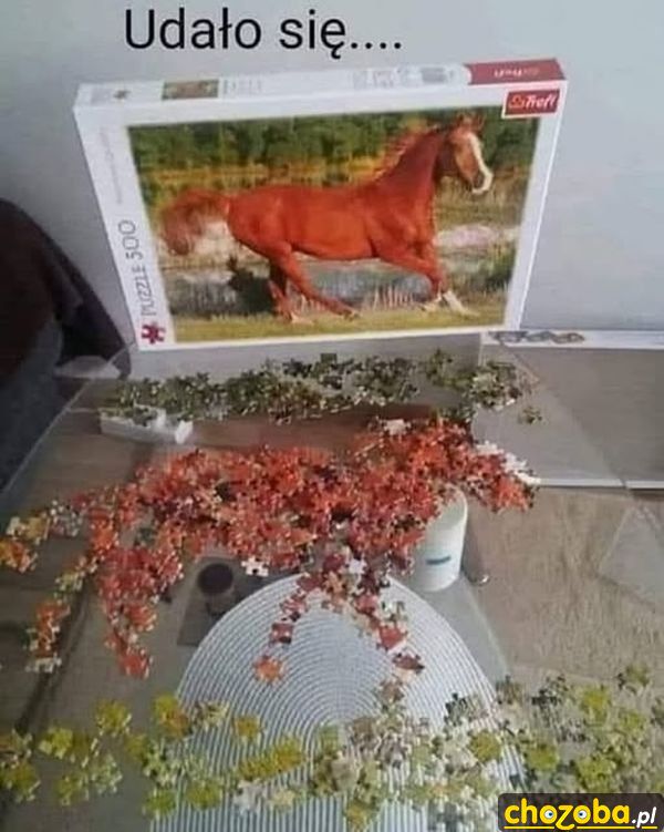 Ułożone puzzle