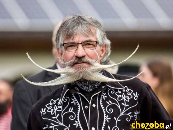 Wąsacz
