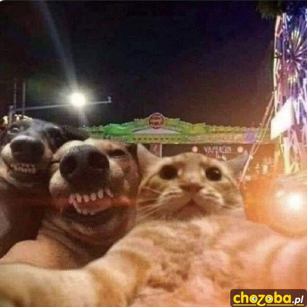 Selfie z kumplami