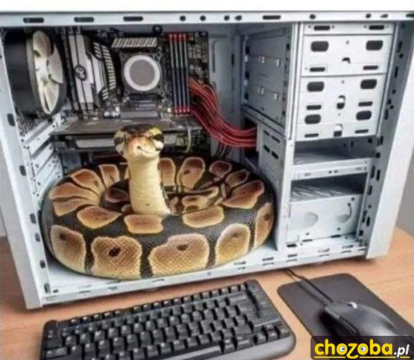 Wąż informatyka
