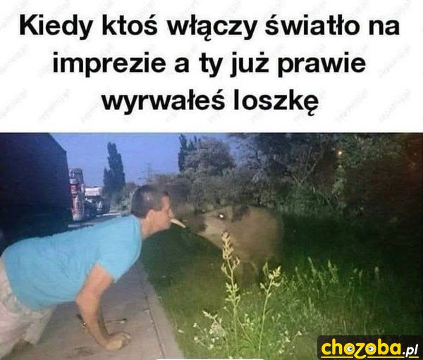 Loszka na imprezie