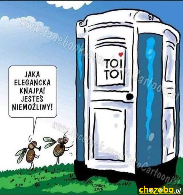 Elegancka knajpa