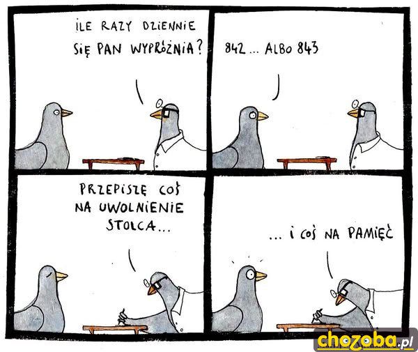 Gołąb u lekarza