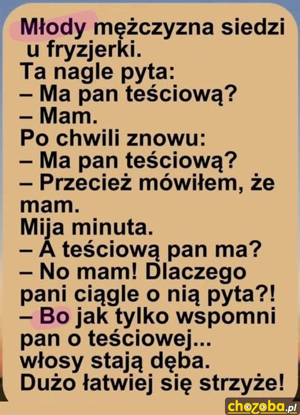 U fryzjera